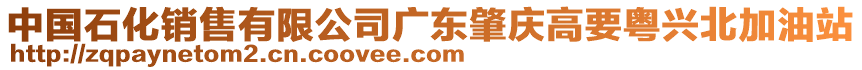 中國(guó)石化銷(xiāo)售有限公司廣東肇慶高要粵興北加油站