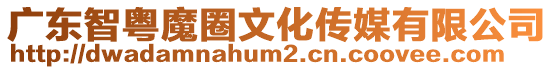 廣東智粵魔圈文化傳媒有限公司