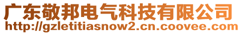 廣東敬邦電氣科技有限公司
