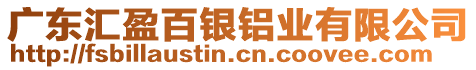 廣東匯盈百銀鋁業有限公司
