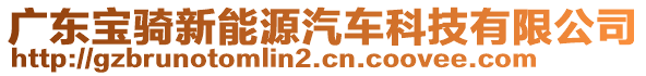 廣東寶騎新能源汽車科技有限公司