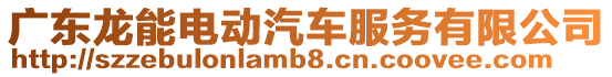 廣東龍能電動汽車服務有限公司