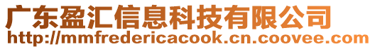 廣東盈匯信息科技有限公司