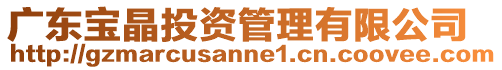 廣東寶晶投資管理有限公司