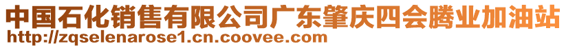 中國石化銷售有限公司廣東肇慶四會騰業(yè)加油站