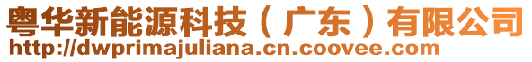 粵華新能源科技（廣東）有限公司