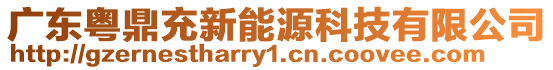 廣東粵鼎充新能源科技有限公司