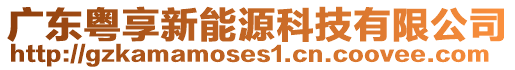 廣東粵享新能源科技有限公司