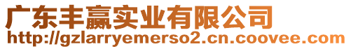 廣東豐贏實(shí)業(yè)有限公司