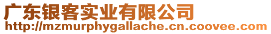 廣東銀客實業(yè)有限公司