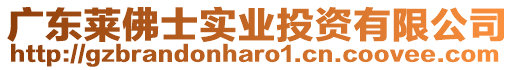 廣東萊佛士實(shí)業(yè)投資有限公司