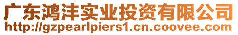 廣東鴻灃實(shí)業(yè)投資有限公司