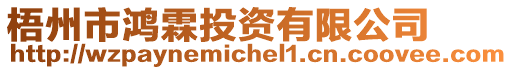 梧州市鴻霖投資有限公司