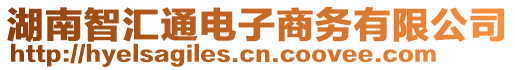 湖南智匯通電子商務有限公司