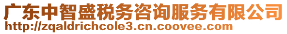 廣東中智盛稅務咨詢服務有限公司