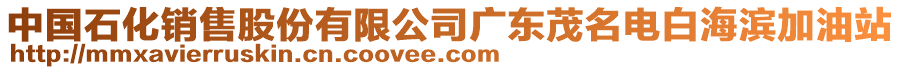 中國(guó)石化銷售股份有限公司廣東茂名電白海濱加油站