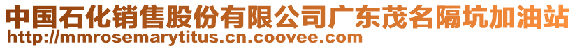 中國石化銷售股份有限公司廣東茂名隔坑加油站