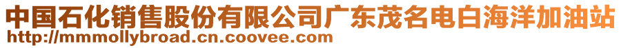 中國石化銷售股份有限公司廣東茂名電白海洋加油站