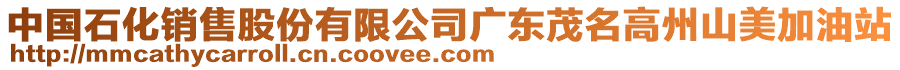 中國(guó)石化銷售股份有限公司廣東茂名高州山美加油站