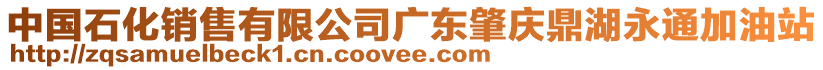 中國石化銷售有限公司廣東肇慶鼎湖永通加油站