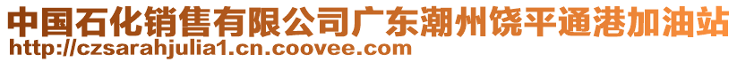 中國石化銷售有限公司廣東潮州饒平通港加油站