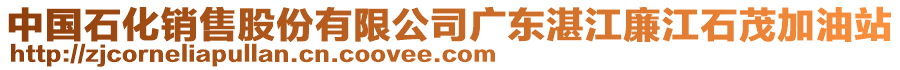 中國石化銷售股份有限公司廣東湛江廉江石茂加油站