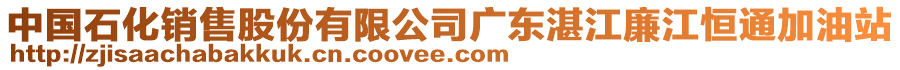 中國石化銷售股份有限公司廣東湛江廉江恒通加油站