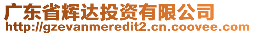 廣東省輝達投資有限公司