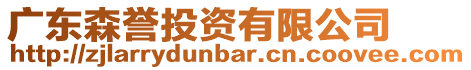 廣東森譽投資有限公司