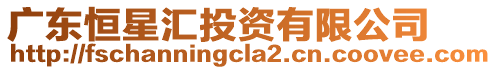 廣東恒星匯投資有限公司