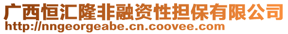 廣西恒匯隆非融資性擔(dān)保有限公司