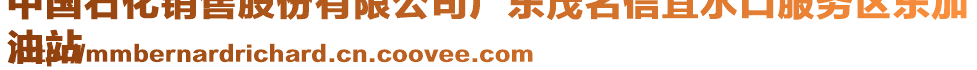 中國石化銷售股份有限公司廣東茂名信宜水口服務(wù)區(qū)東加
油站