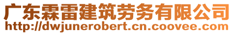 廣東霖雷建筑勞務有限公司