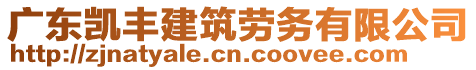 廣東凱豐建筑勞務有限公司