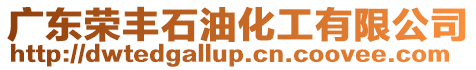 廣東榮豐石油化工有限公司