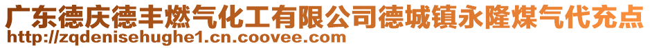 廣東德慶德豐燃氣化工有限公司德城鎮永隆煤氣代充點