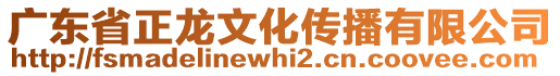 廣東省正龍文化傳播有限公司