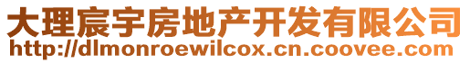 大理宸宇房地產開發(fā)有限公司