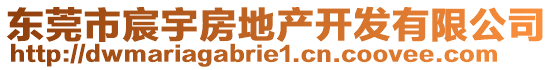 東莞市宸宇房地產(chǎn)開發(fā)有限公司