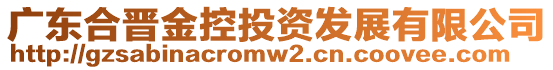 廣東合晉金控投資發(fā)展有限公司