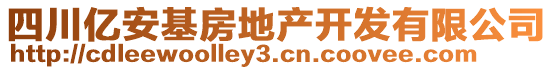 四川億安基房地產(chǎn)開發(fā)有限公司