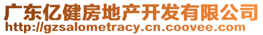 廣東億健房地產(chǎn)開(kāi)發(fā)有限公司