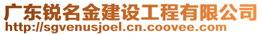 廣東銳名金建設(shè)工程有限公司