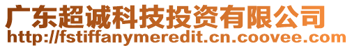 廣東超誠(chéng)科技投資有限公司