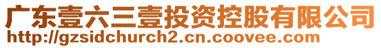 廣東壹六三壹投資控股有限公司