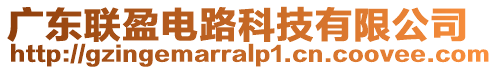 廣東聯(lián)盈電路科技有限公司