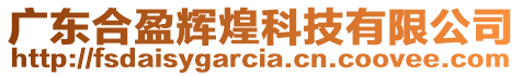 廣東合盈輝煌科技有限公司