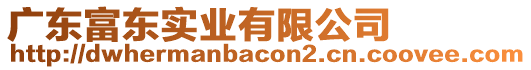 廣東富東實業有限公司