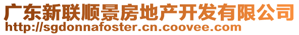 廣東新聯(lián)順景房地產(chǎn)開發(fā)有限公司