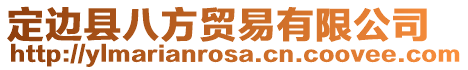 定邊縣八方貿(mào)易有限公司